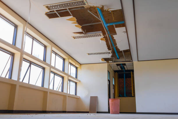 Best Local water damage restoration  in Cabin John, MD