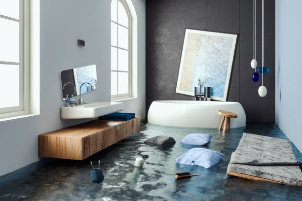 Best Water damage repair service  in Cabin John, MD