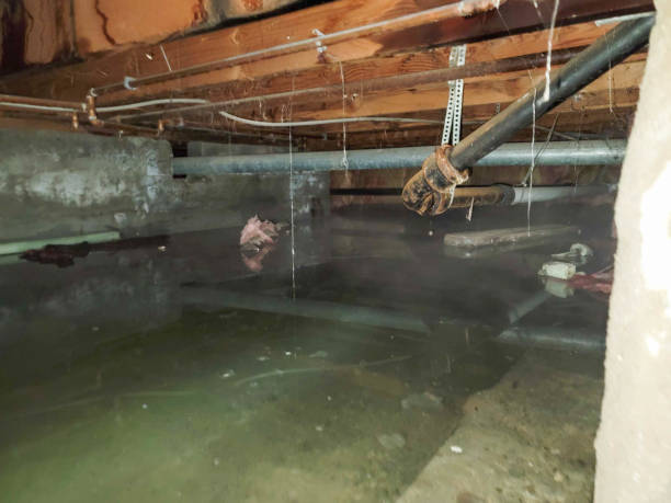 Best Fire Damage Restoration  in Cabin John, MD