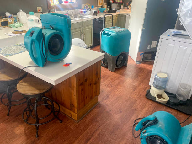  Cabin John, MD Water damage restoration Pros