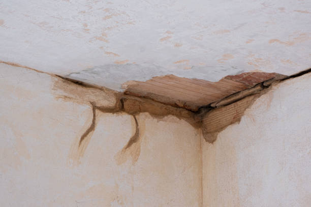 Best Water damage restoration near me  in Cabin John, MD