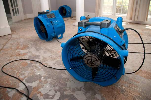 Best Basement water damage restoration  in Cabin John, MD