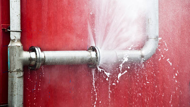 Best Sewage cleanup and water damage restoration  in Cabin John, MD