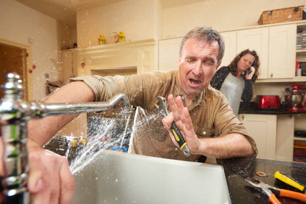 Best Mold removal after water damage  in Cabin John, MD